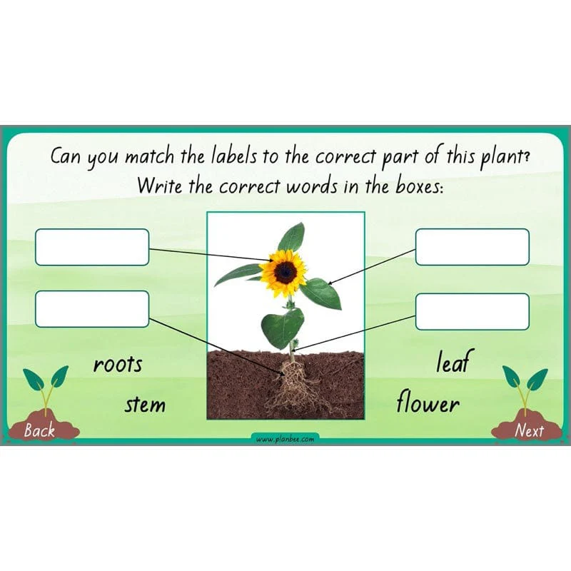 How Plants Grow - Image 22