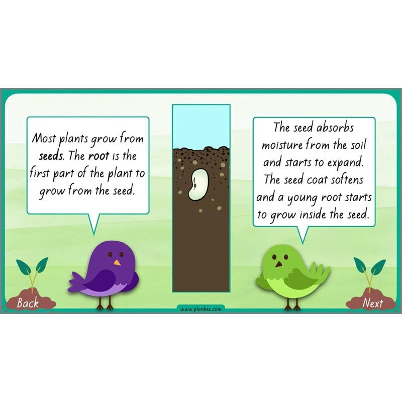 How Plants Grow - Image 23