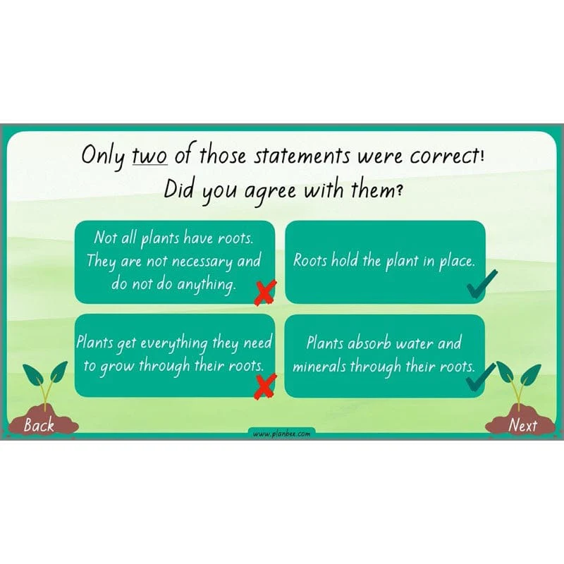 How Plants Grow - Image 24