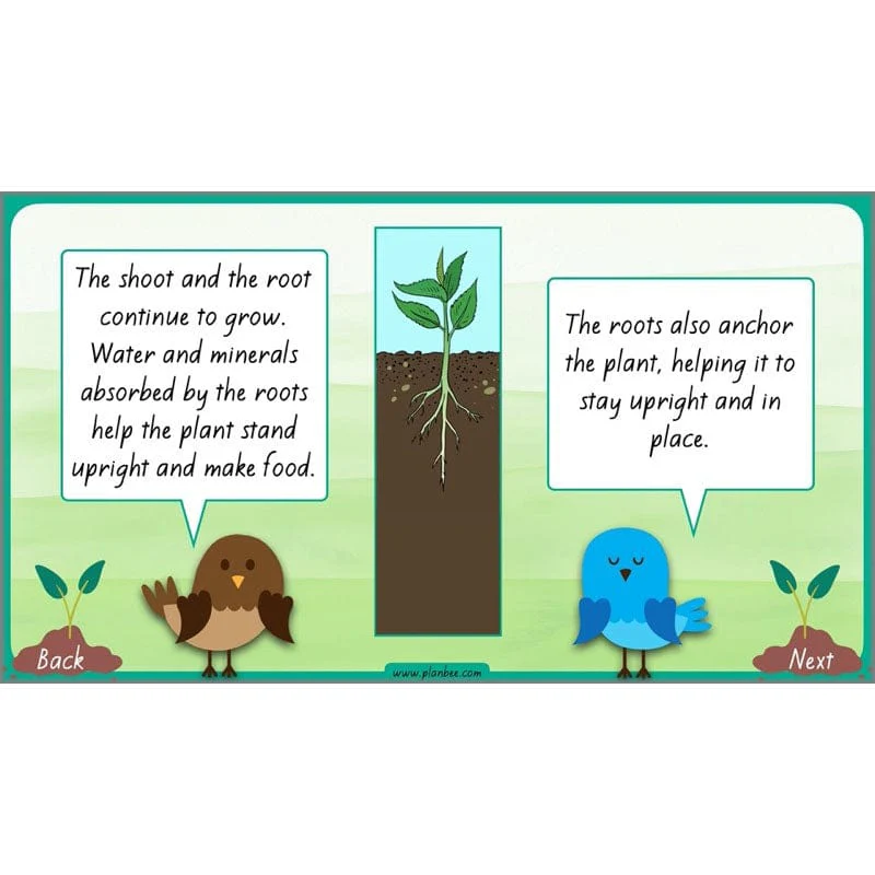 How Plants Grow - Image 25