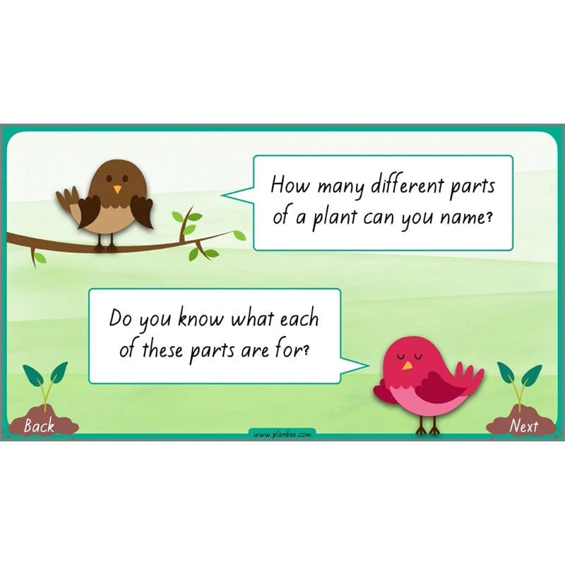 How Plants Grow - Image 3