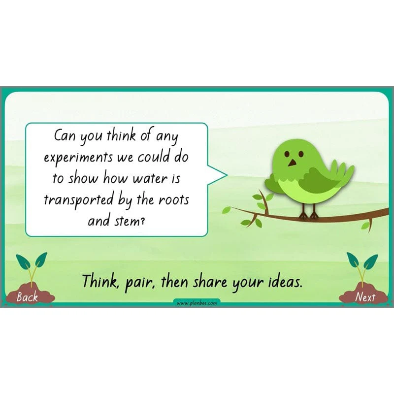 How Plants Grow - Image 33