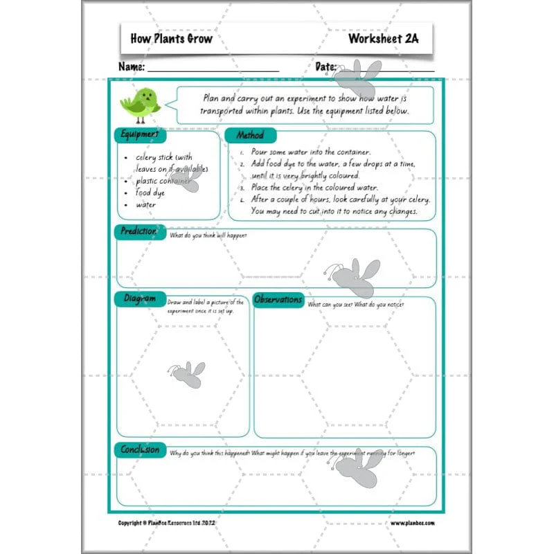 How Plants Grow - Image 34