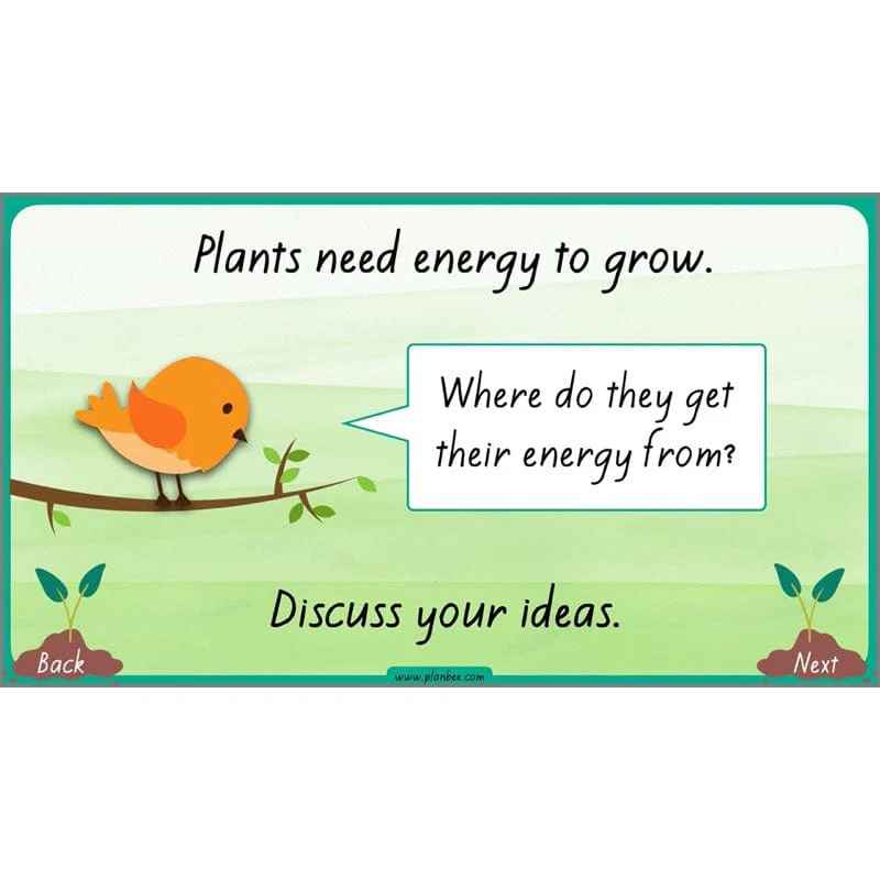 How Plants Grow - Image 38