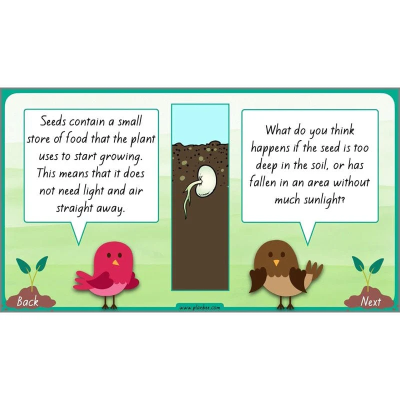 How Plants Grow - Image 41