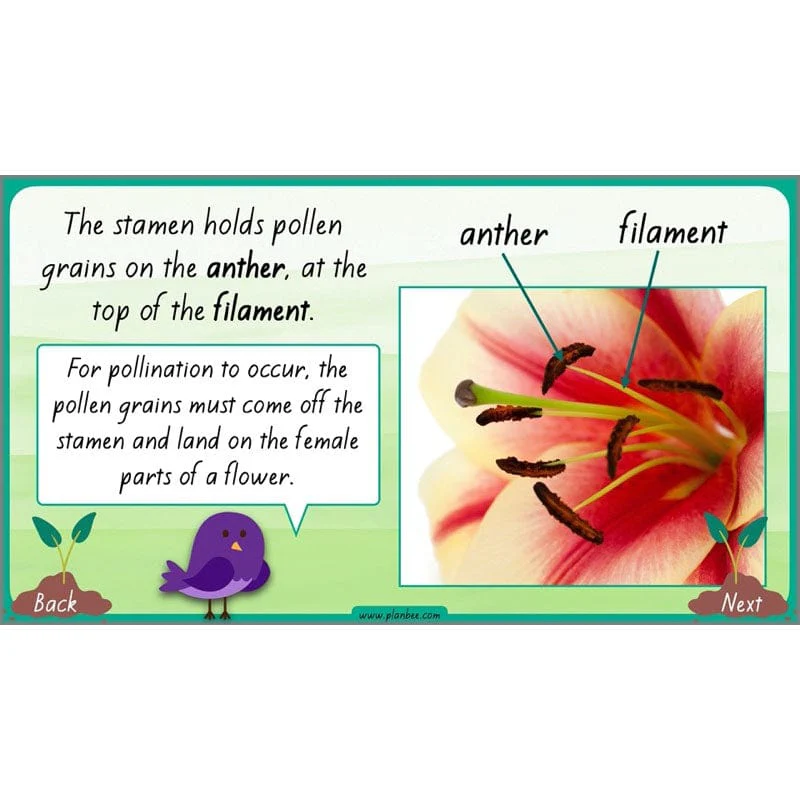 How Plants Grow - Image 47