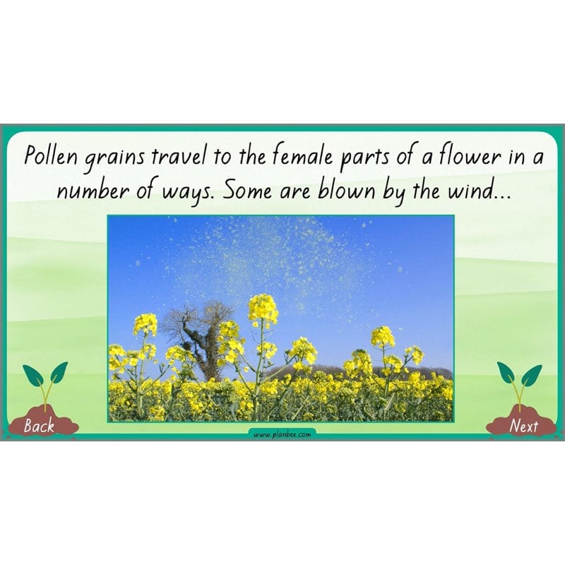 How Plants Grow - Image 48