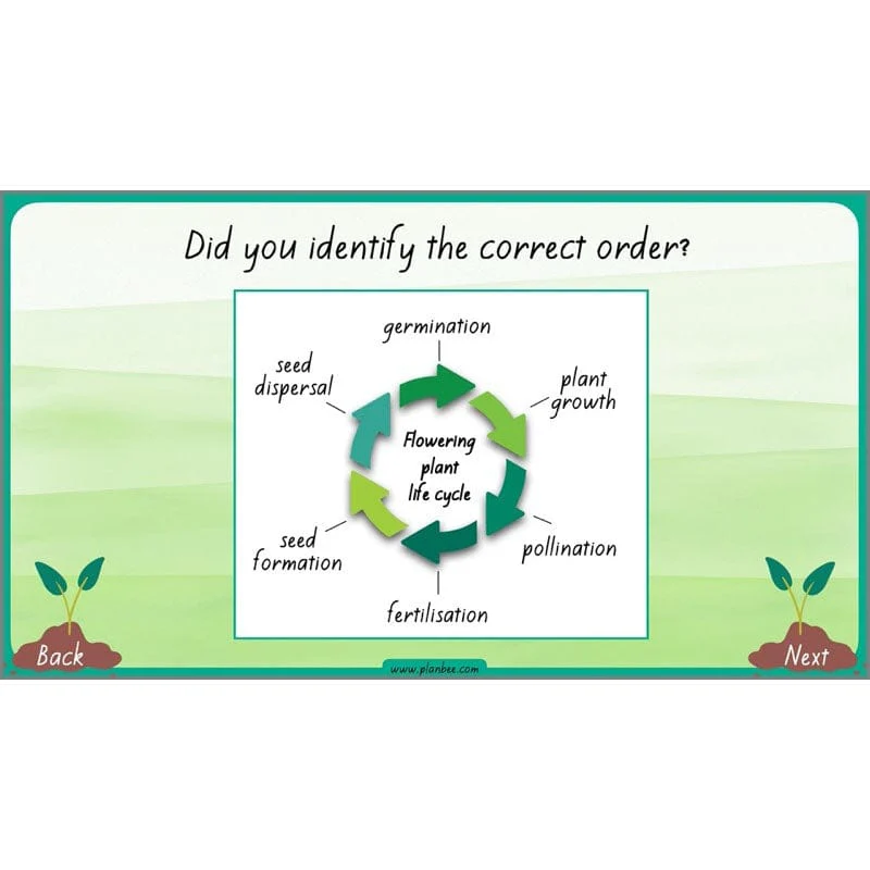 How Plants Grow - Image 54