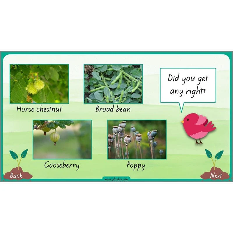 How Plants Grow - Image 55
