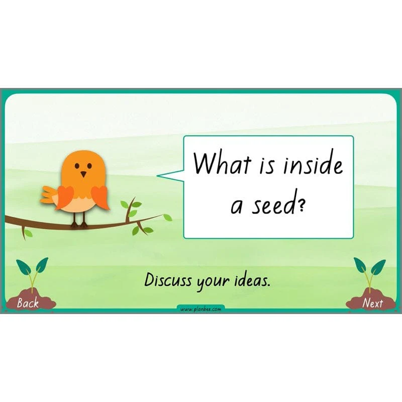 How Plants Grow - Image 62