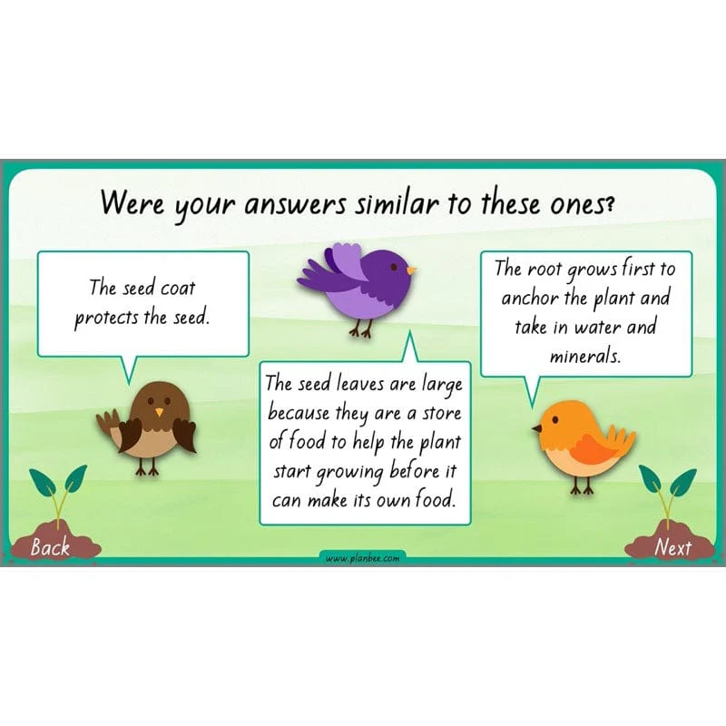 How Plants Grow - Image 64