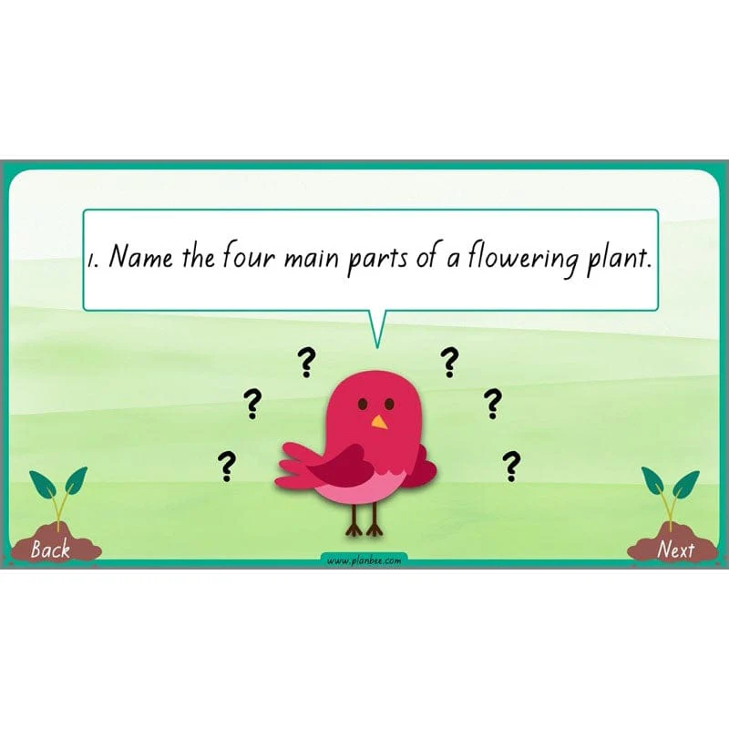 How Plants Grow - Image 65