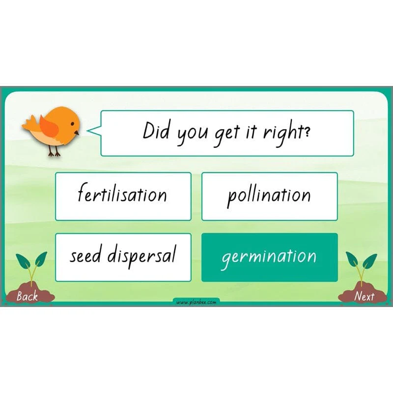 How Plants Grow - Image 9