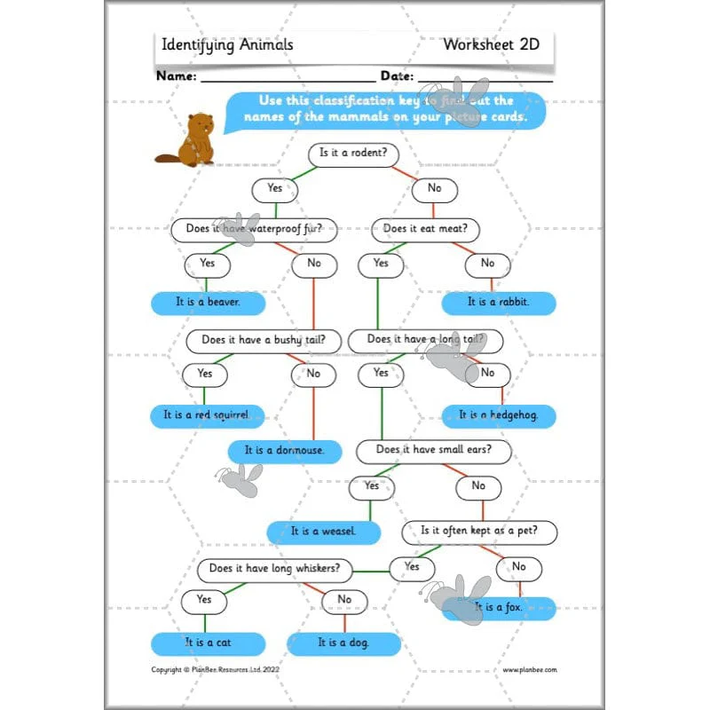 Identifying Animals - Image 11