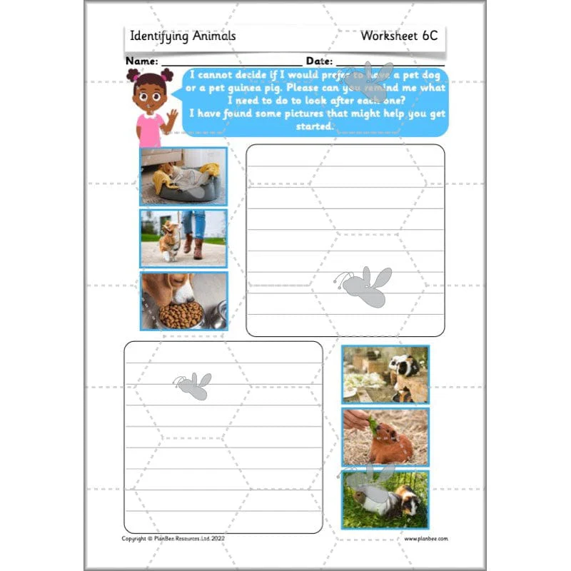 Identifying Animals - Image 15