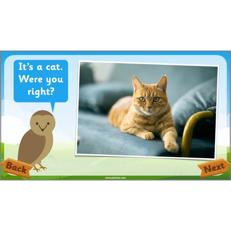 Identifying Animals - Image 22