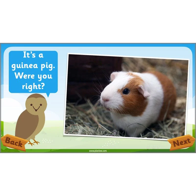 Identifying Animals - Image 23