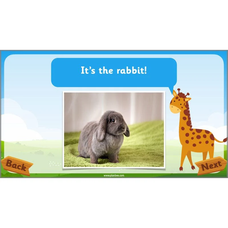 Identifying Animals - Image 24