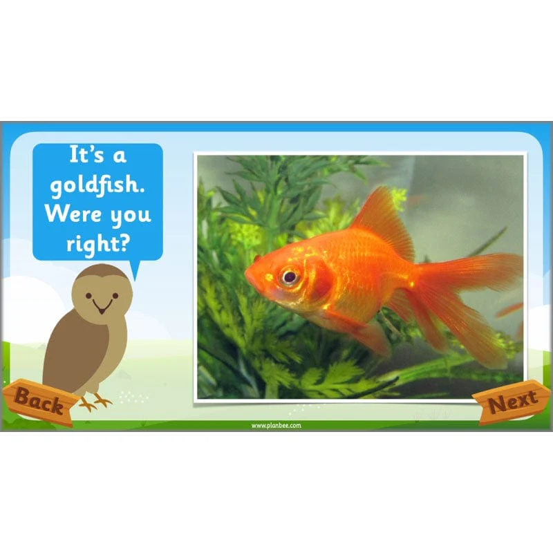 Identifying Animals - Image 3