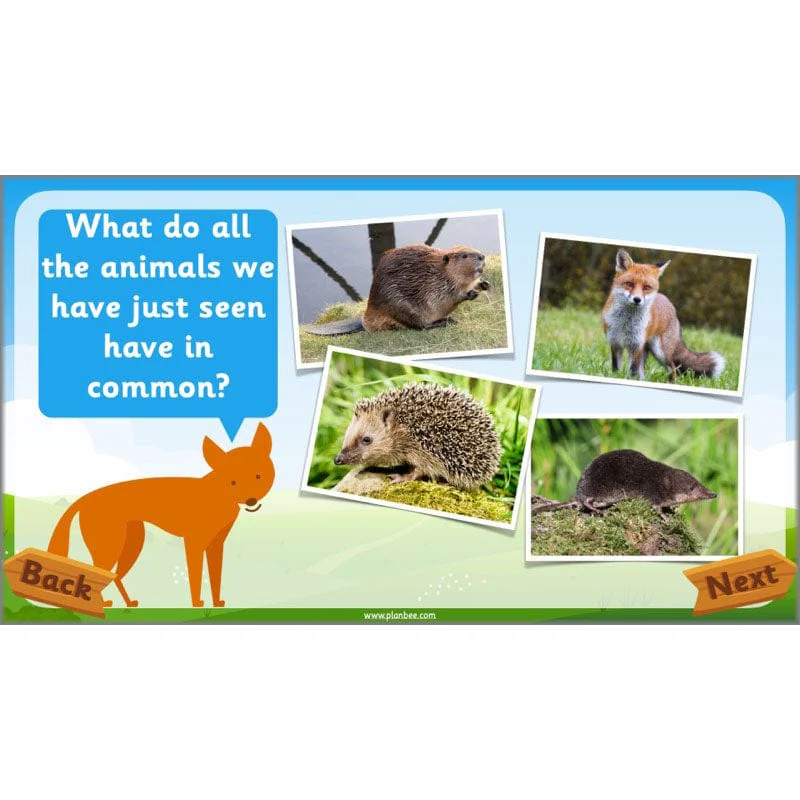 Identifying Animals - Image 30