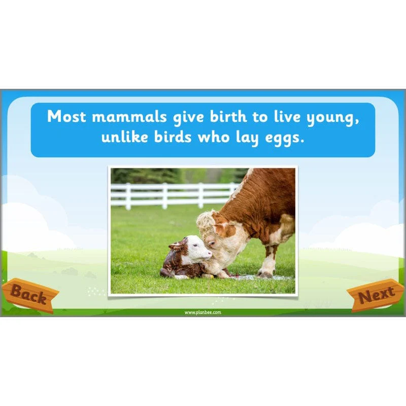 Identifying Animals - Image 31
