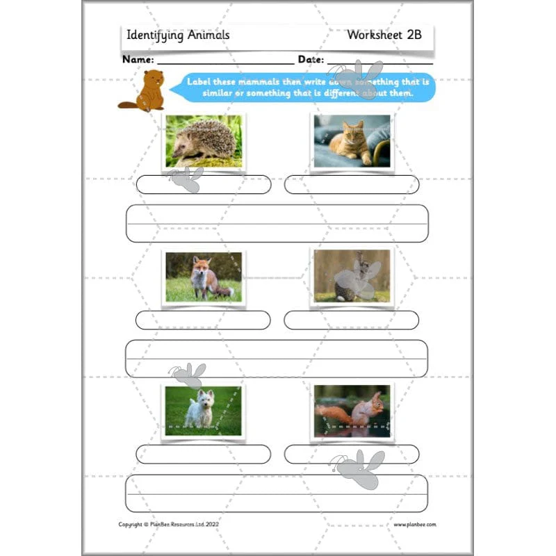 Identifying Animals - Image 33