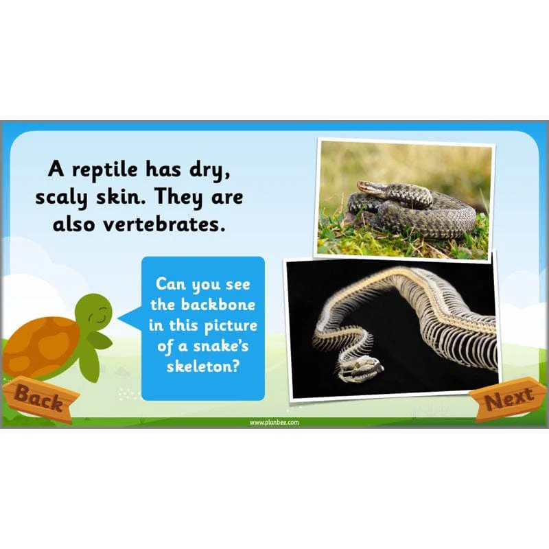 Identifying Animals - Image 38