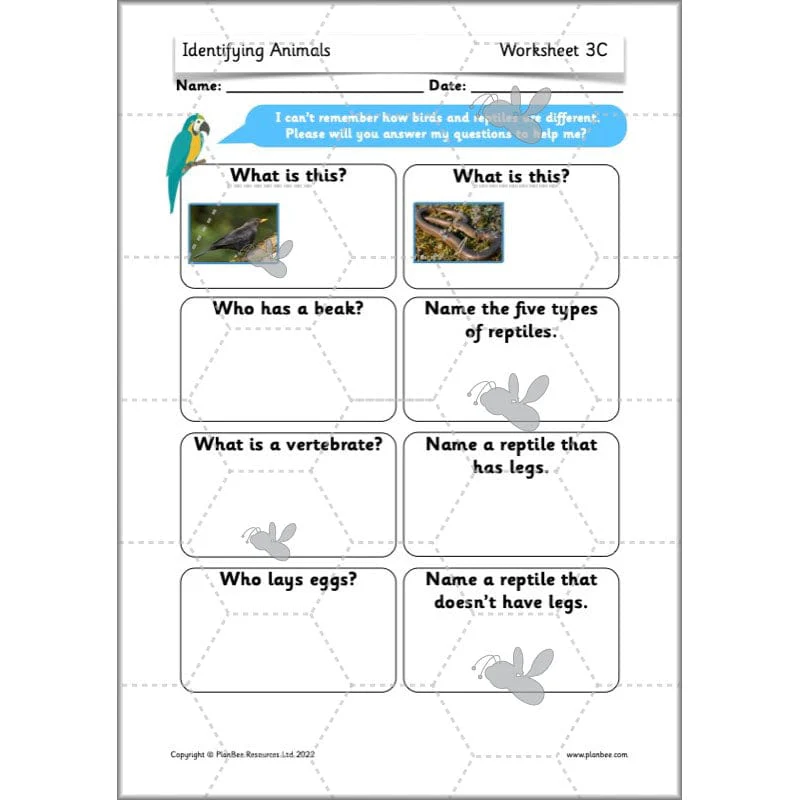 Identifying Animals - Image 42