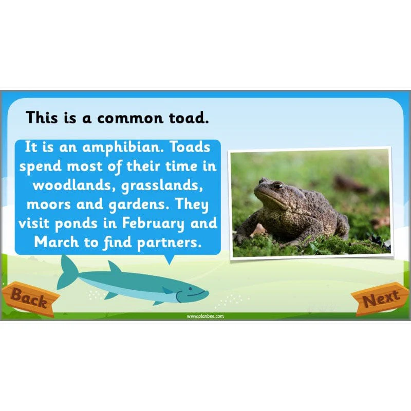Identifying Animals - Image 46