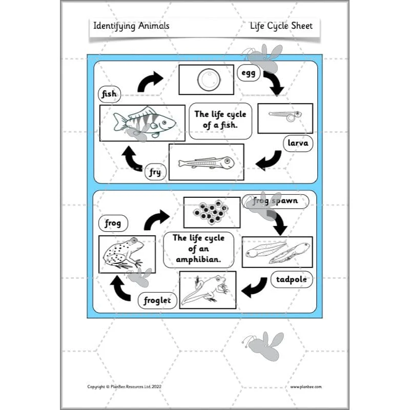 Identifying Animals - Image 51