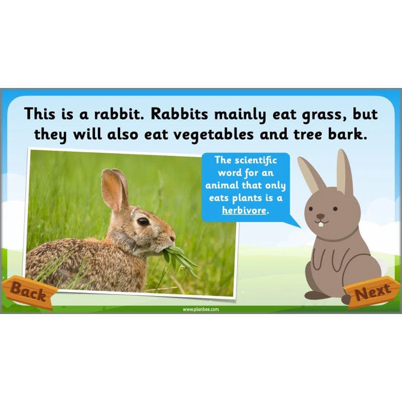Identifying Animals - Image 53
