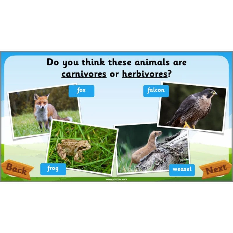 Identifying Animals - Image 54