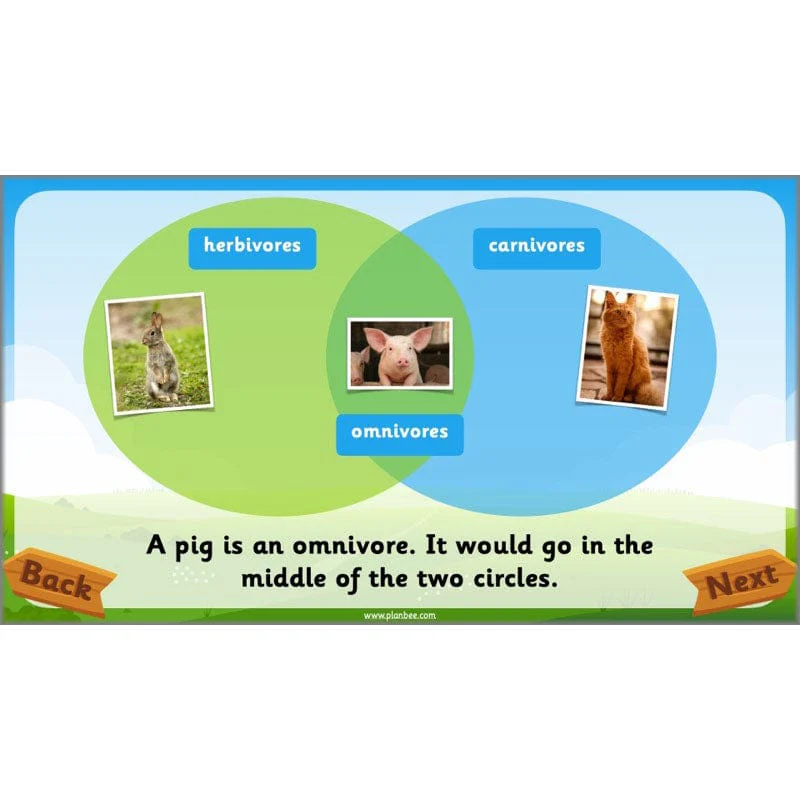 Identifying Animals - Image 56