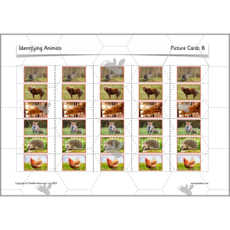 Identifying Animals - Image 59