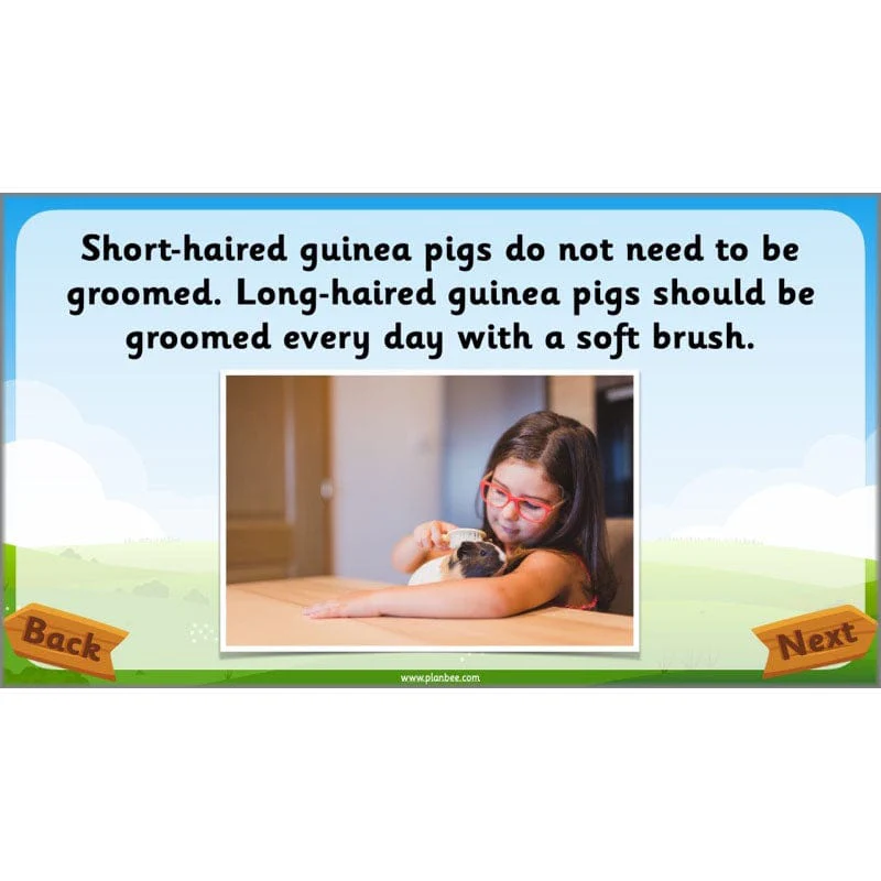 Identifying Animals - Image 63