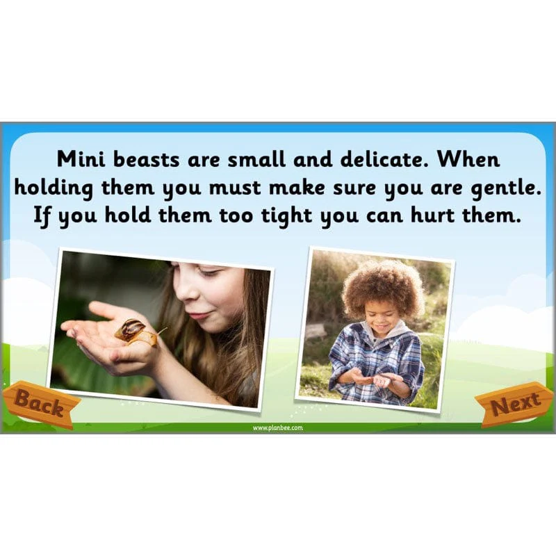 Identifying Animals - Image 64