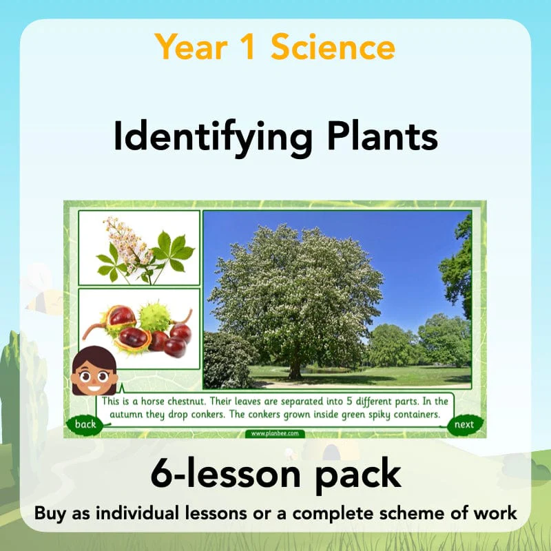 Identifying Plants