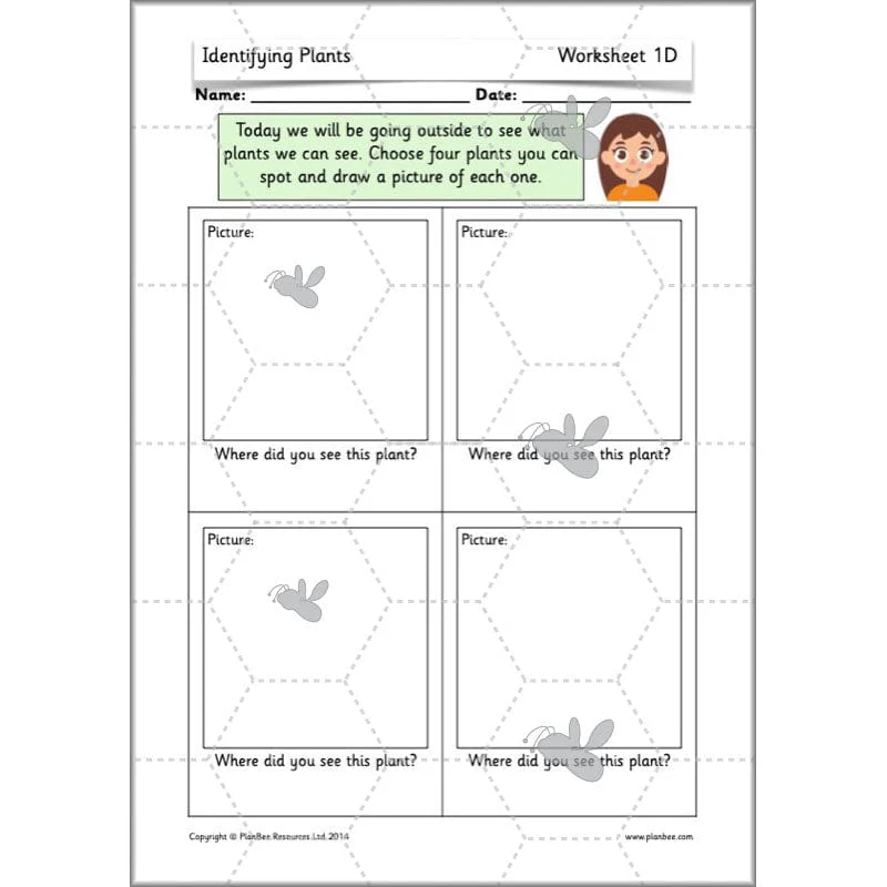 Identifying Plants - Image 13