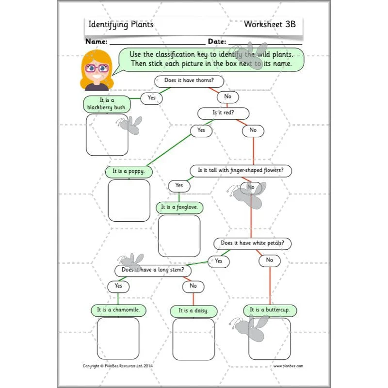 Identifying Plants - Image 15