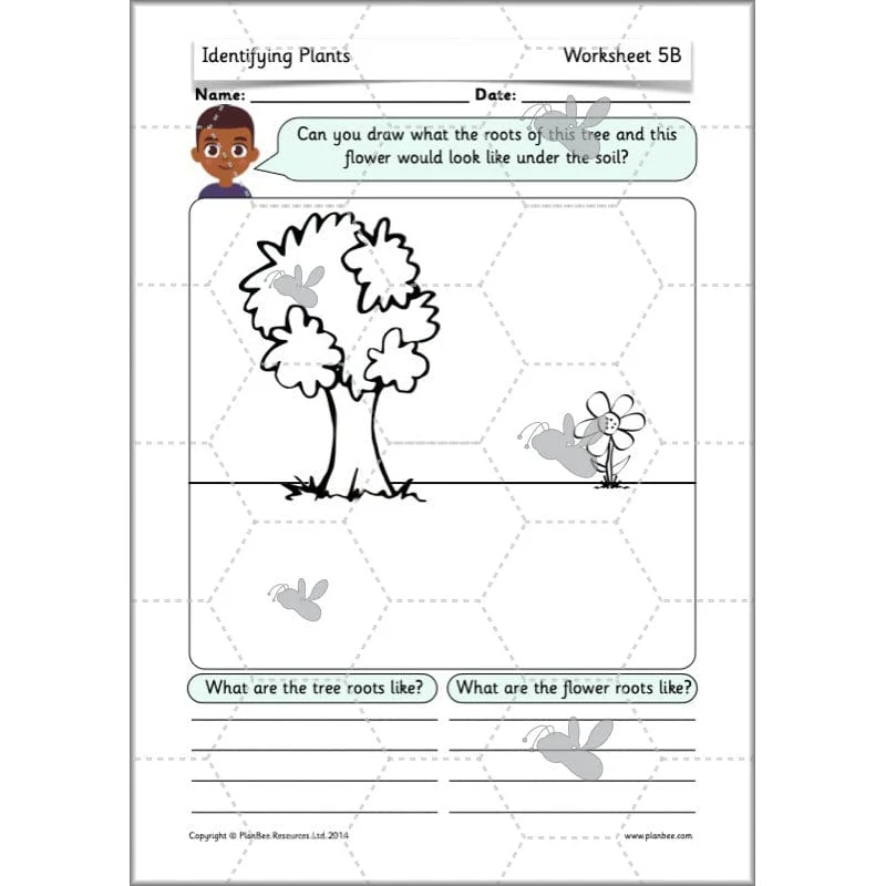 Identifying Plants - Image 18