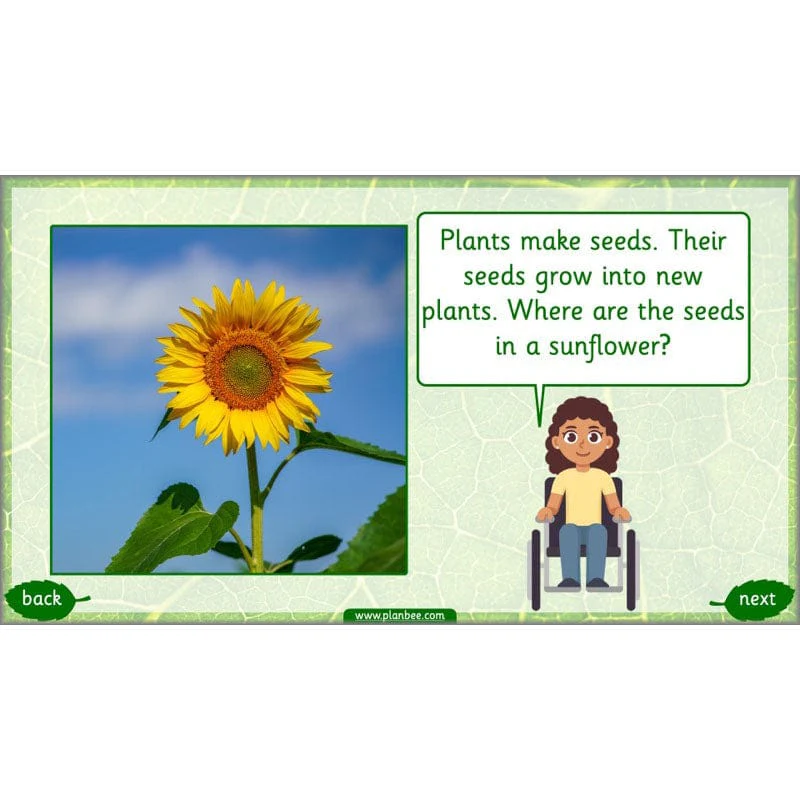 Identifying Plants - Image 28