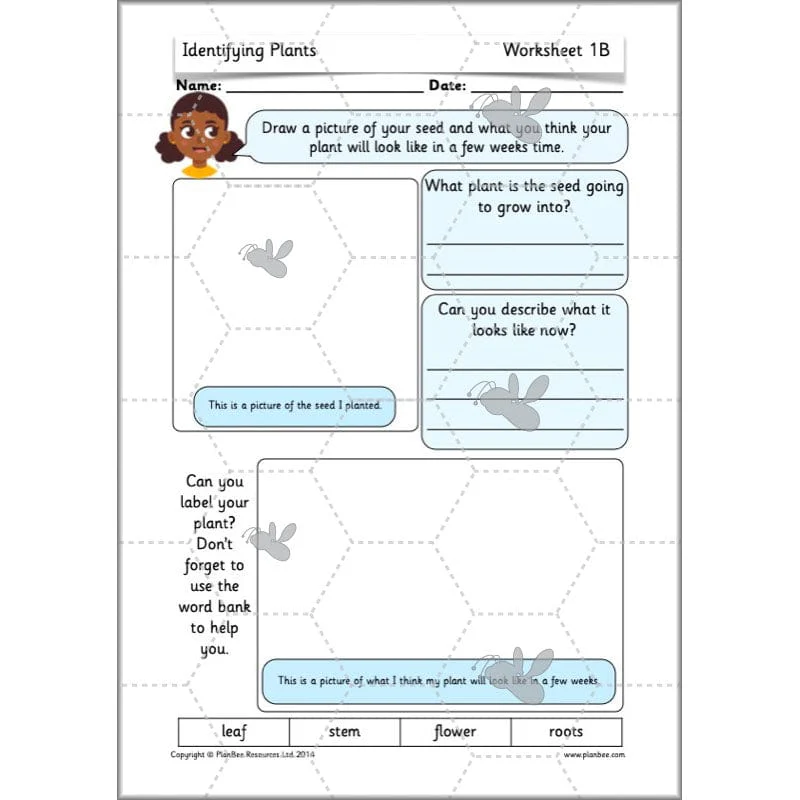 Identifying Plants - Image 31