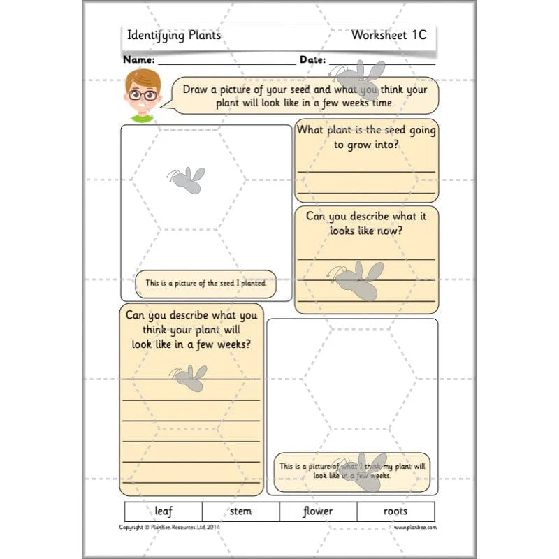 Identifying Plants - Image 32