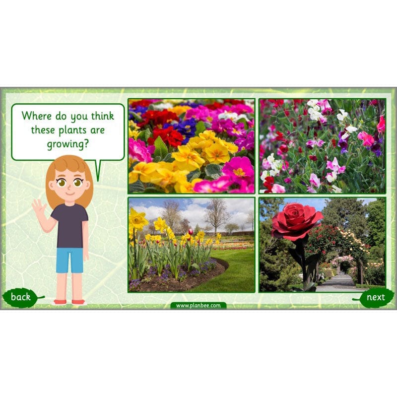 Identifying Plants - Image 34