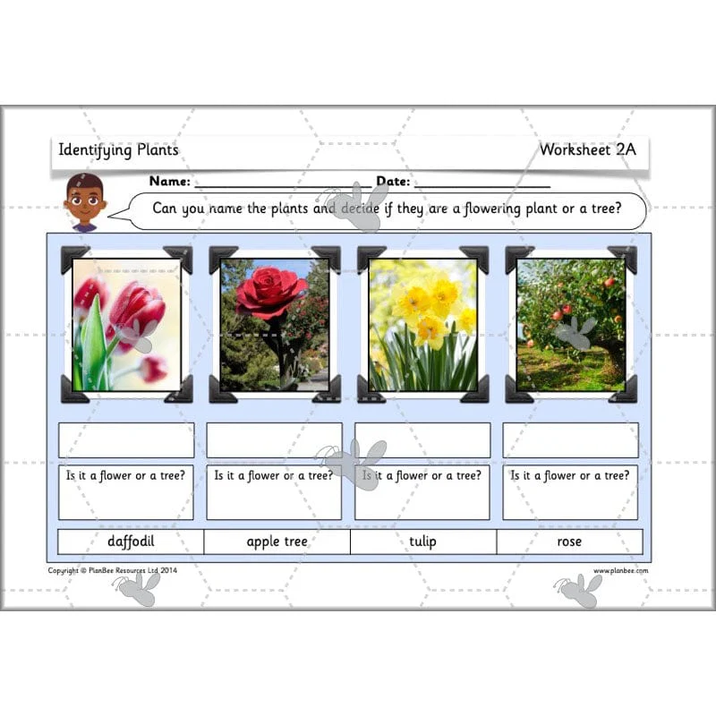 Identifying Plants - Image 38