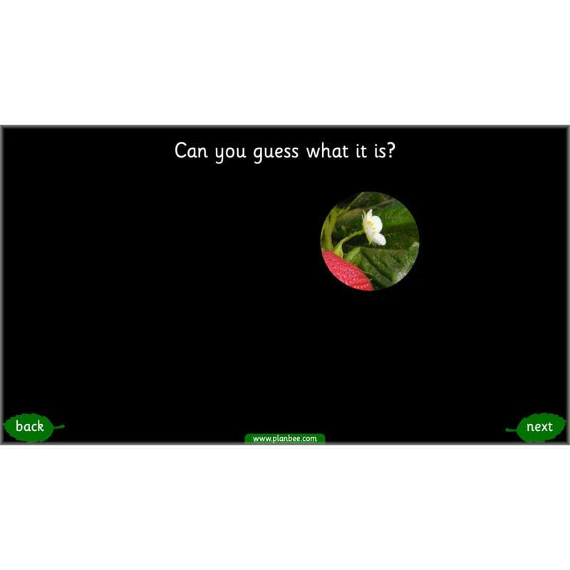 Identifying Plants - Image 4