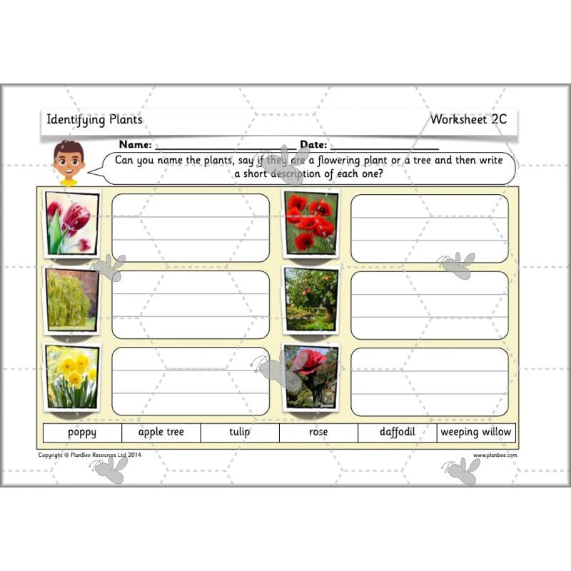 Identifying Plants - Image 40