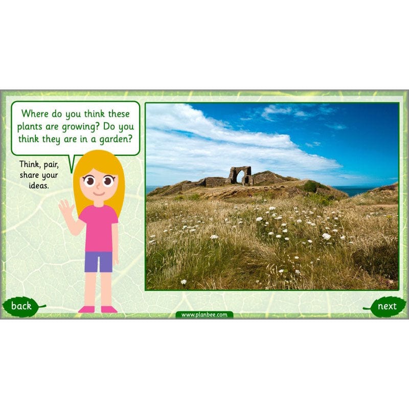 Identifying Plants - Image 42