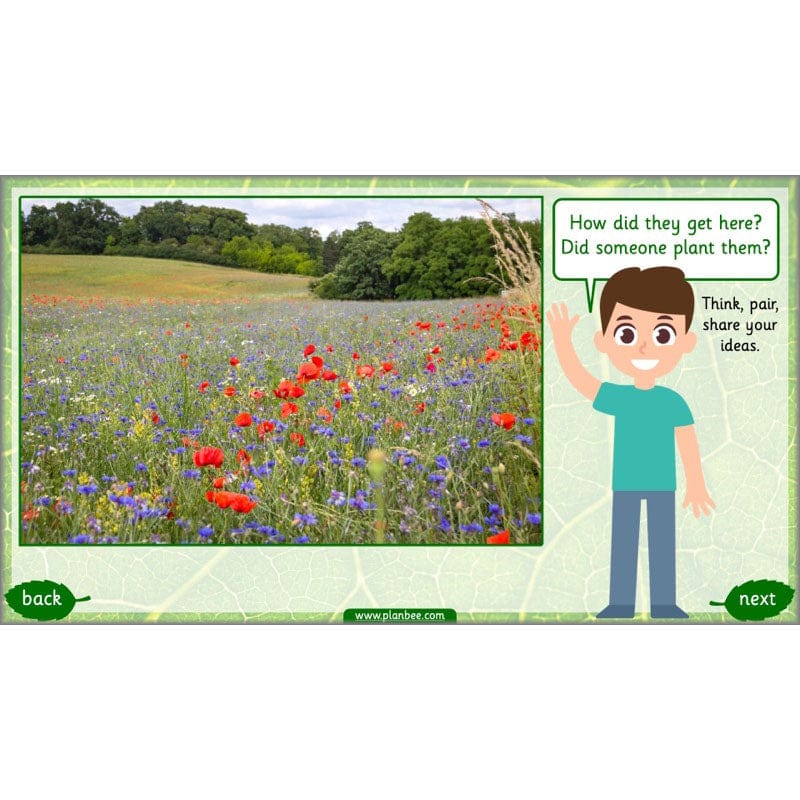 Identifying Plants - Image 43