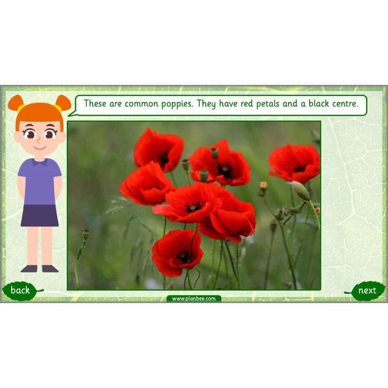Identifying Plants - Image 44